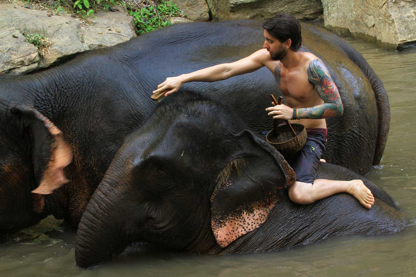 Banho no elefante na Tailândia