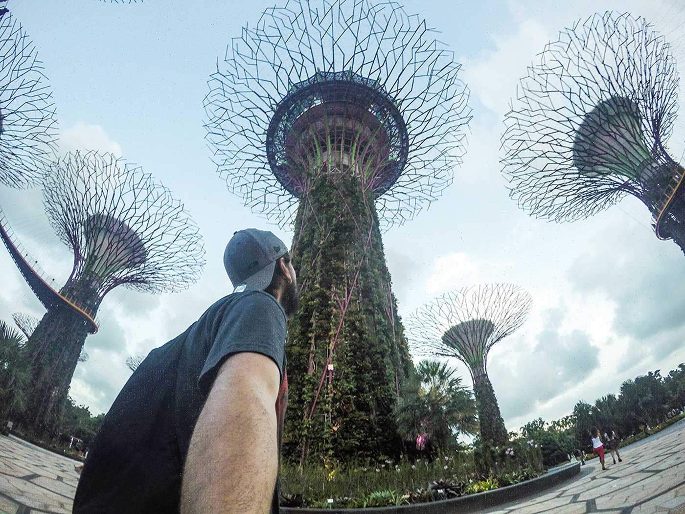 Supertrees no Gardens by the bay