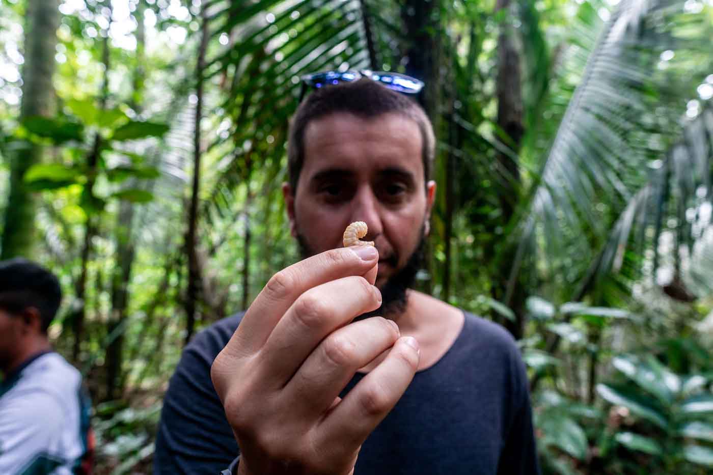 Comendo bicho do coco durante trilha na selva amazônica