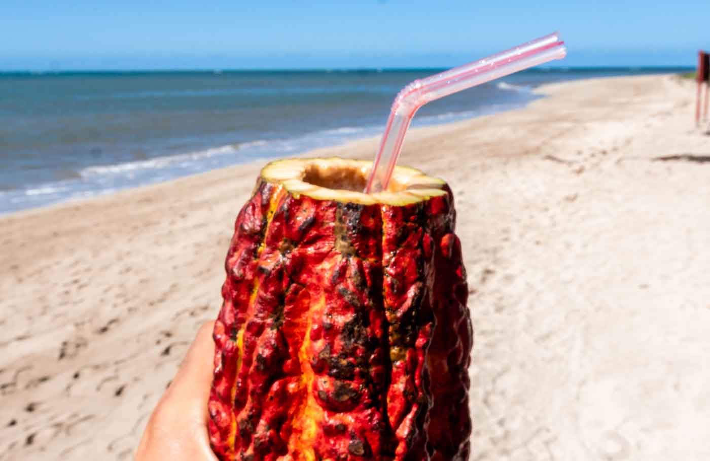 Coquetel dentro de um cacau numa praia da Bahia